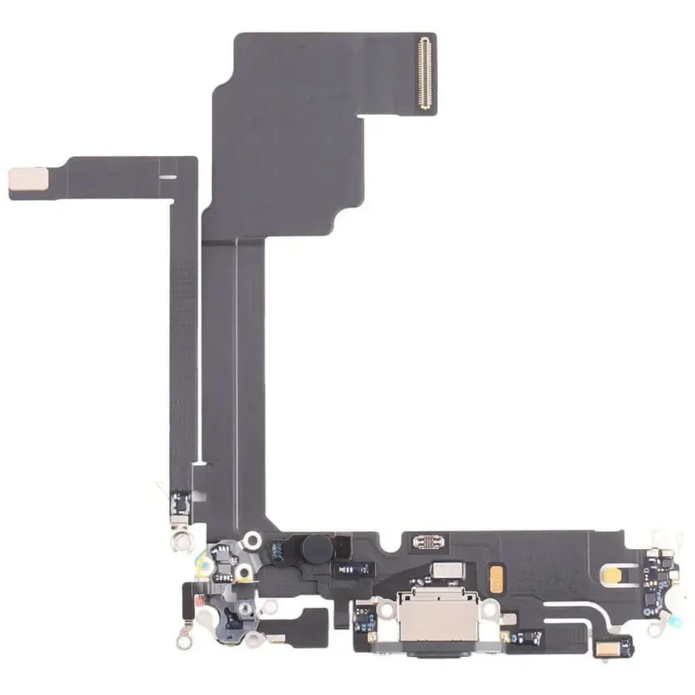 iPhone Ladebuchse